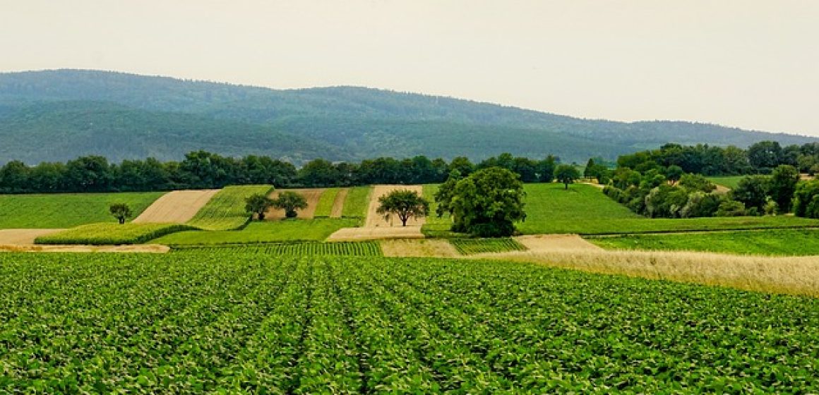 Western New York agricultural legacy