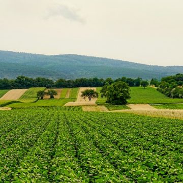 Western New York agricultural legacy