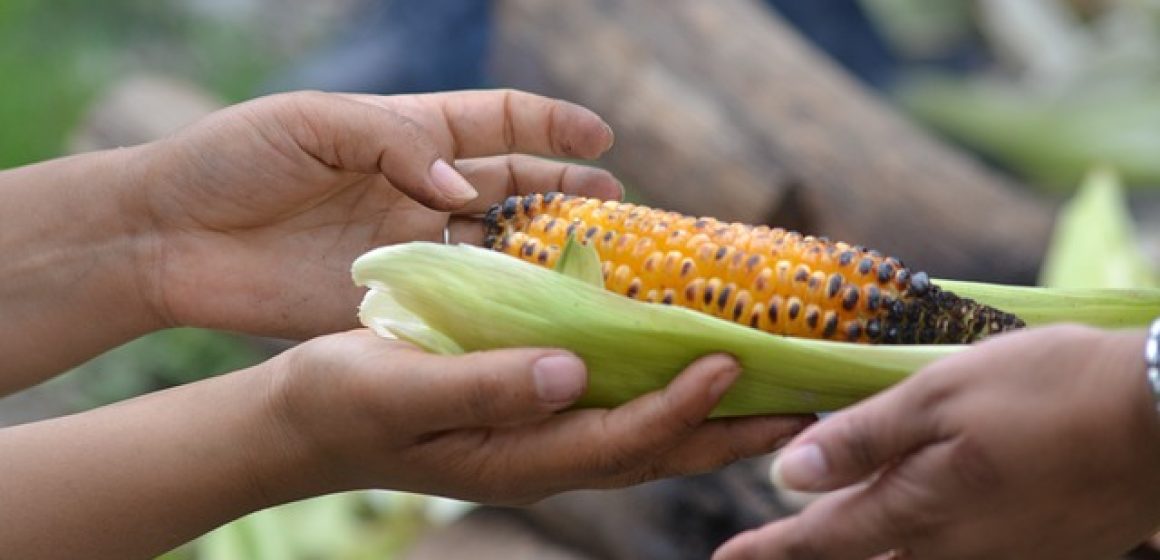 Remember Those Battling Hunger This Season of Giving