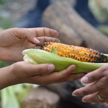 Remember Those Battling Hunger This Season of Giving