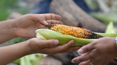 Remember Those Battling Hunger This Season of Giving