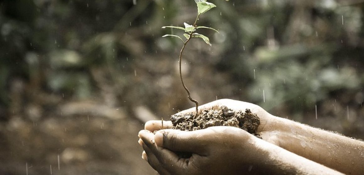 support a rural food pantry