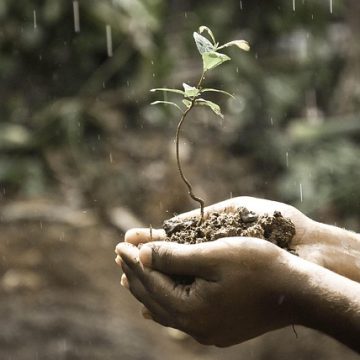 support a rural food pantry