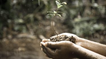 support a rural food pantry