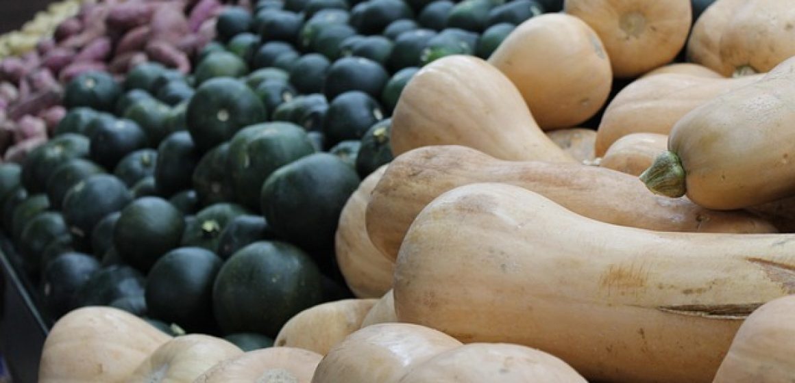 where to get healthy groceries for free in Olean NY